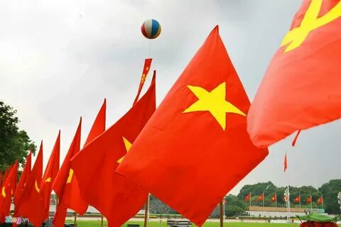 Tỷ lệ 'chọi' lớp 10 trường ngoại thành Hà Nội nhảy vọt, phụ huynh ngã ngửa