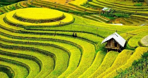 Nhiều trường đại học nhận hồ sơ xét học bạ từ tháng 5_Tuyển dụng tiếp thị kỹ thuật số
